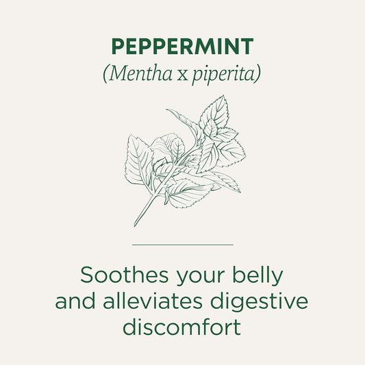 Traditional Medicinals Tea, Organic Peppermint, Soothes Your Belly, Refreshing & Minty, 96 Tea Bags (6 Pack)