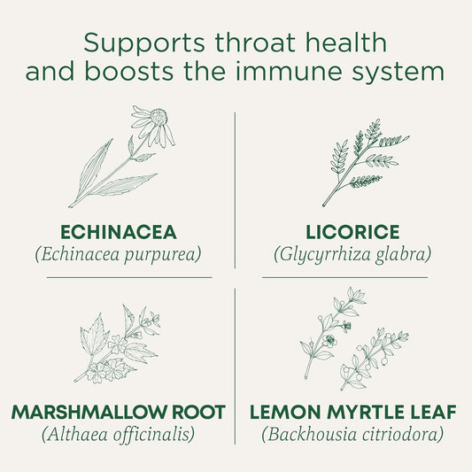 Traditional Medicinals Tea, Organic Throat Coat Lemon Echinacea, Supports Throat Health & Immune Fuction, 96 Tea Bags (6 Pack)