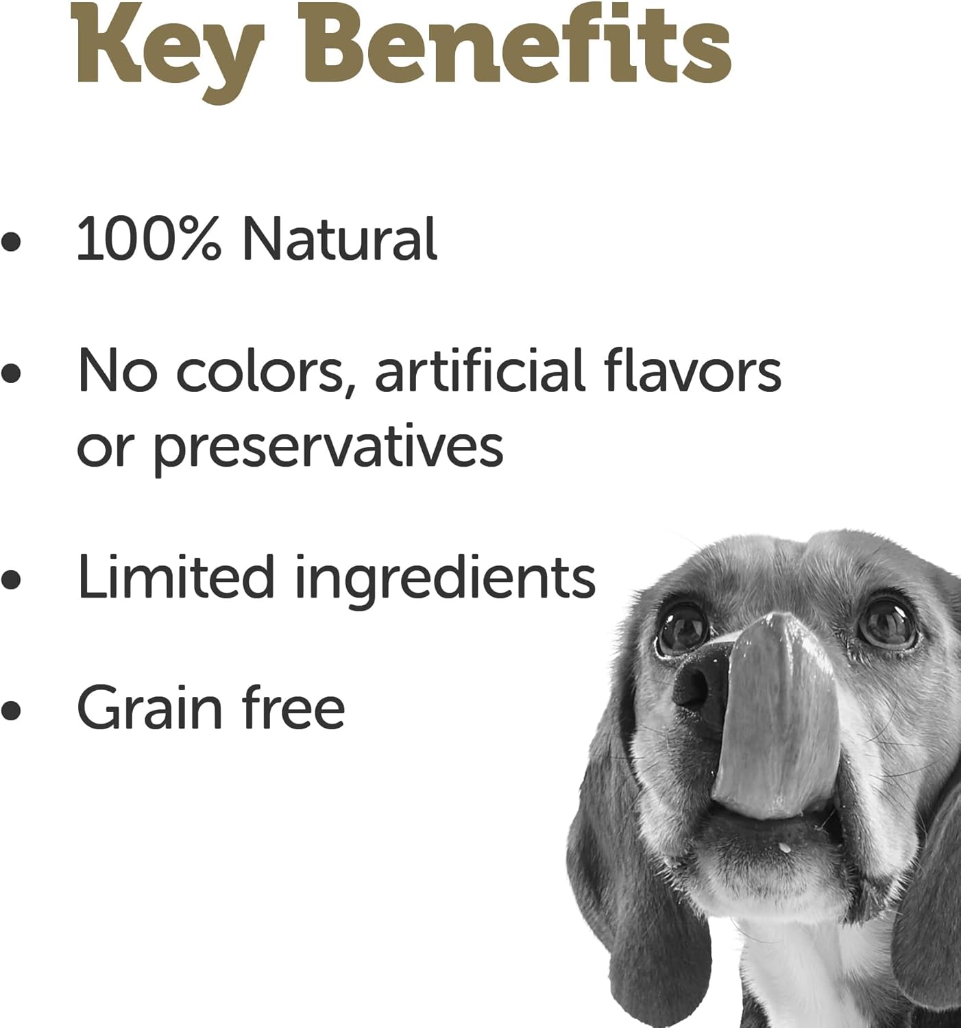 Applaws Taste Toppers, Bone Broth For Dogs, Grain-Free, Limited Ingredient, Beef Bone Broth With Turmeric & Parsley (6 X 7.1Oz Pouches) : Pet Supplies