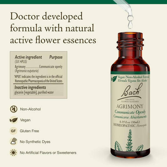 Bach Original Flower Remedies, Red Chestnut (Non-Alcohol Formula) - Peace Of Mind - Natural Homeopathic Flower Essence For Emotional Balance - Vegan, Gluten Free, Sugar Free - 10Ml Dropper