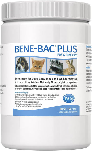 Pet-Ag Bene-Bac Plus - 1 lb Powder - FOS & Probiotics for Dogs, Cats, Exotic & Wildlife Mammals