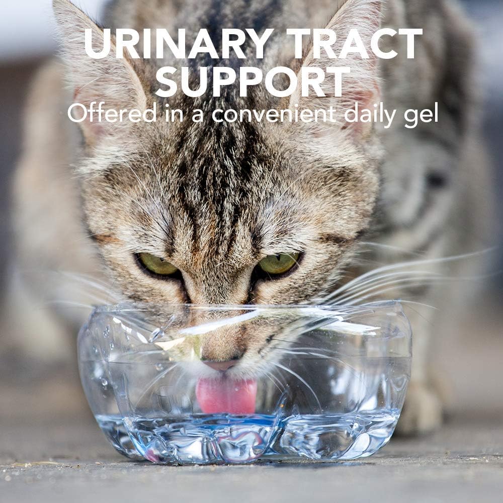 Vet's Best Feline Urinary Tract Support Cat Supplement Gel Supports Healthy Urinary Tract, 100 g :Pet Supplies