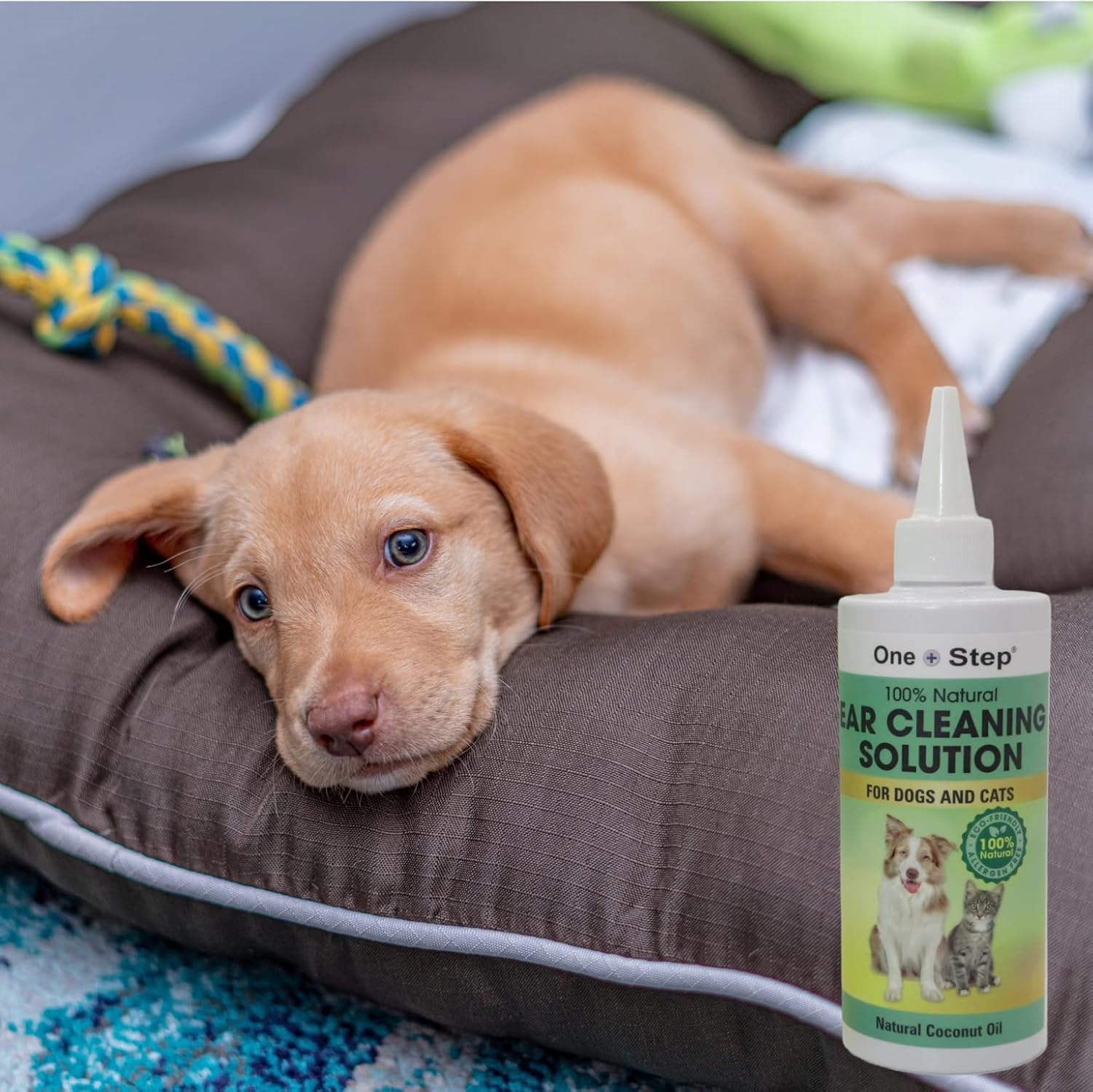 One Step Pet Ear Cleaner for Dogs & Cats 237ml, 100% Natural Cleaning Solution used to Stop Shaking Head, Itchy, Smelly Ears & Wax Removal, Organic Coconut Oil & Aloe Vera Leaf Juice Formula : Amazon.co.uk: Pet Supplies