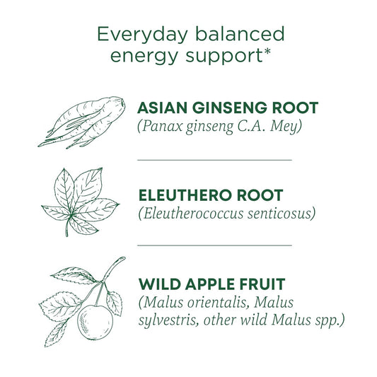 Traditional Medicinals Tea, Organic Stress Ease Focus, With Adaptogens, Everyday Balanced Energy, Ginseng Wild Apple Mint, 16 Tea Bags