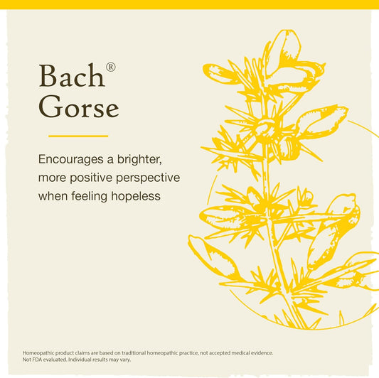 Bach Original Flower Remedies, Gorse for Hope (Non-Alcohol Formula), Natural Homeopathic Flower Essence, Holistic Wellness and Stress Relief, Vegan, 10mL Dropper
