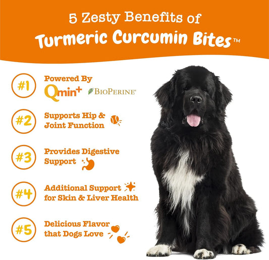 Zesty Paws Turmeric Curcumin For Dogs - For Hip & Joint Mobility Supports Canine Digestive Cardiovascular & Liver Health - Coconut Oil For Skin Health With 95% Curcuminoids + Bioperine Duck, 90 Count