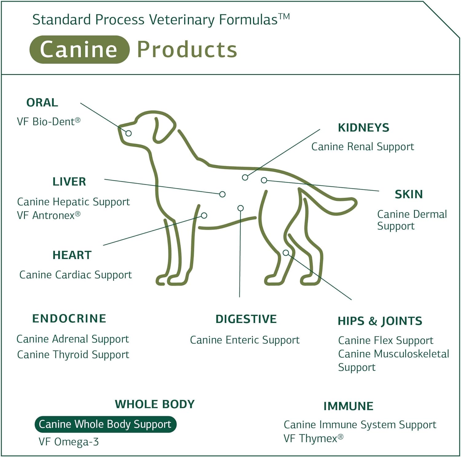 Standard Process Canine Whole Body Support - Multisystem Support Supplement for Canines - Nutritional Powder Supplement for Daily Health Maintenance - Multisystem Supplement Formula - 25 g : Other Products : Pet Supplies