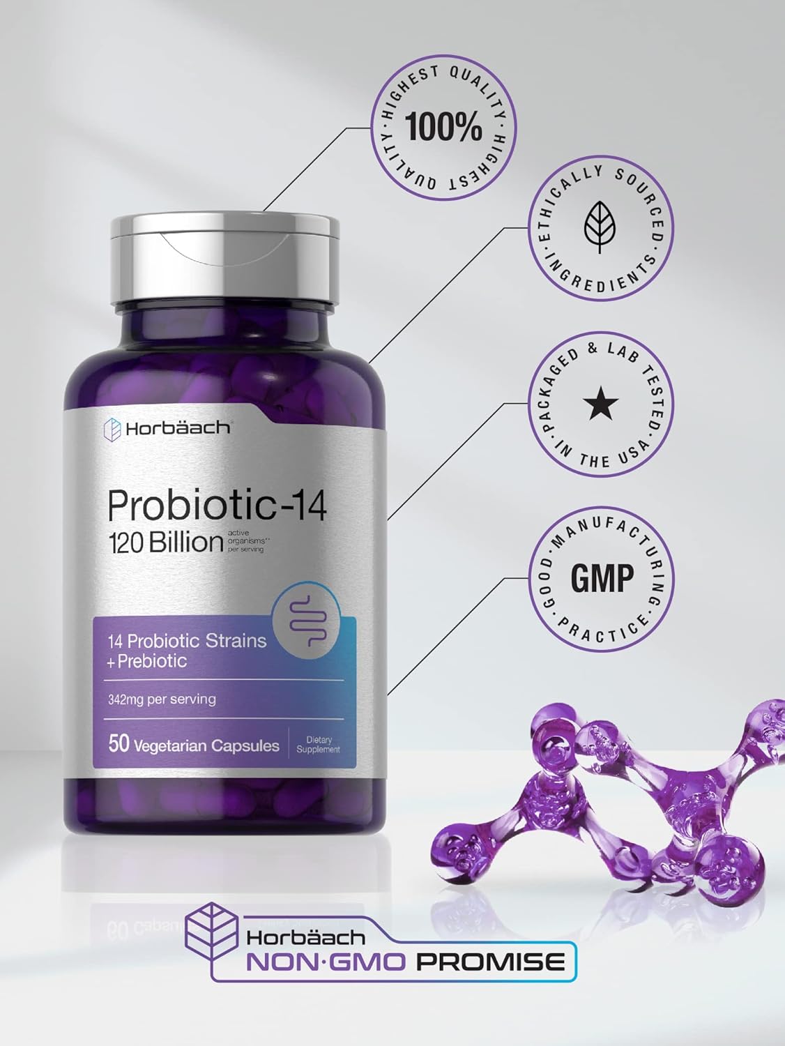 Horbäach Probiotics 120 Billion CFU | 14 Strains with Prebiotics | for Women & Men | 50 Capsules | Vegetarian, Non-GMO & Gluten Free Supplement : Health & Household