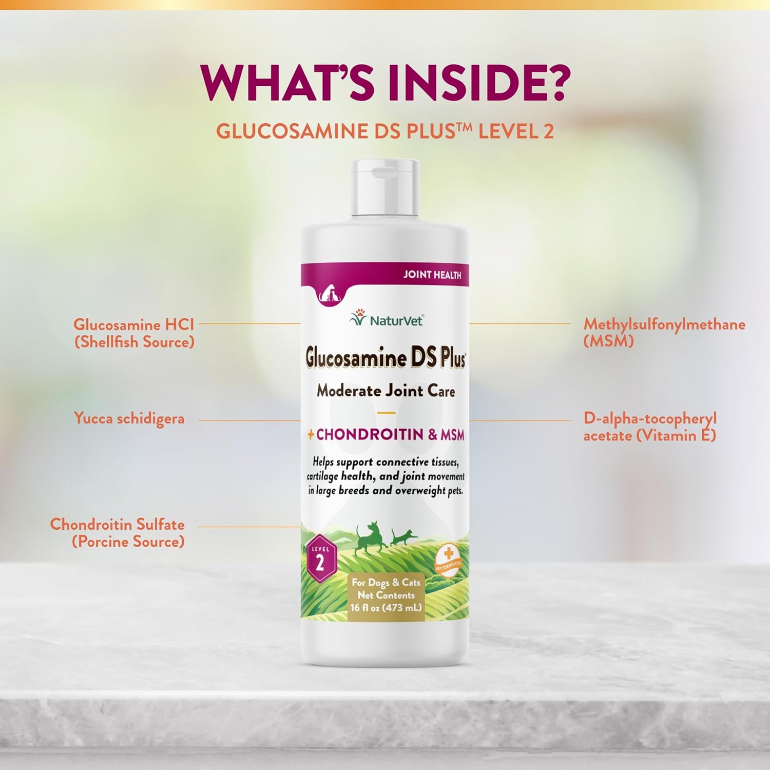 NaturVet Glucosamine DS Plus Hip & Joint Support Liquid Pet Supplement – Level 2 Moderate Care for Dogs & Cats – Includes Glucosamine, MSM, Chondroitin – 16 Oz : Pet Glucosamine Supplements : Pet Supplies