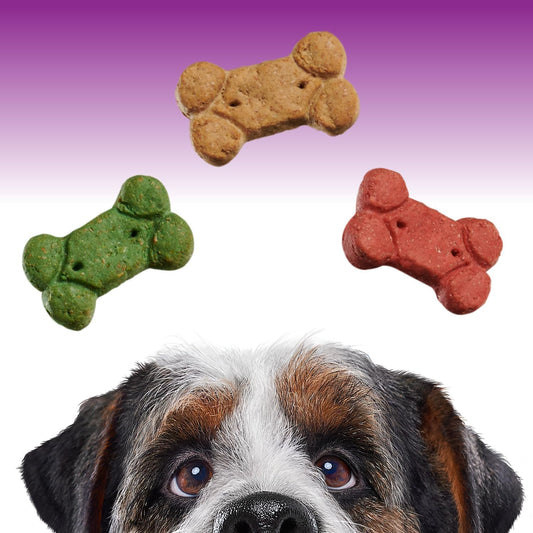 Blue Seal Entrust Crunchers Dog Treats Size Small | Premium Ingredients | Assortment | 25 Lb Box