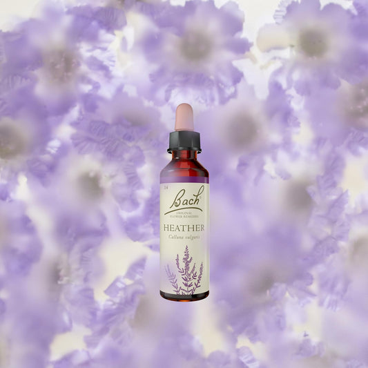 Bach Original Flower Remedies (Heather) Reach Out To Others, Empathise & Listen, Emotional Wellness, Natural Flower Essence, 20Ml