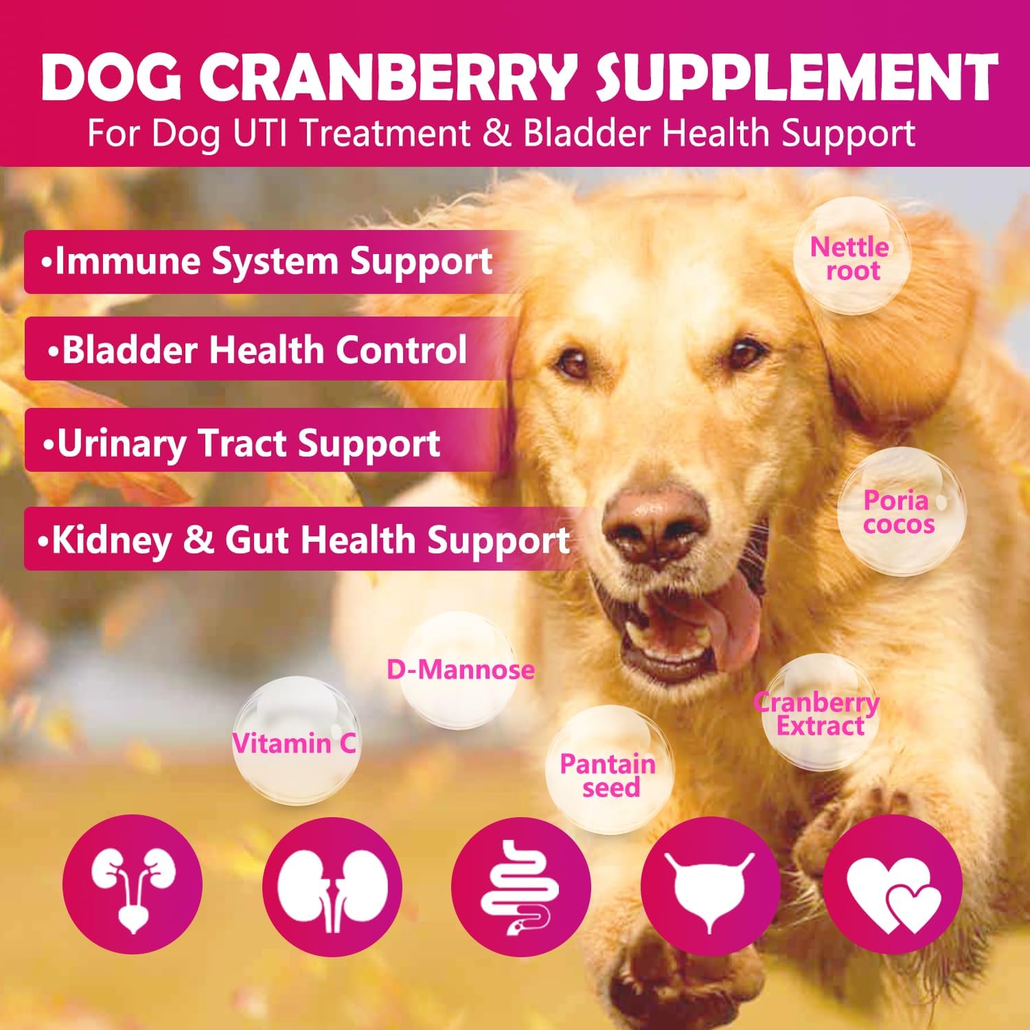 Cranberry Bladder Health for Dogs - Dog Antioxidant- 160 Cranberry Soft Chew Supplements for a Healthy Urinary Tract and Bladder Control – Made with Cranberry & D-Mannose & Vitamins (Chicken Flavor) : Home & Kitchen