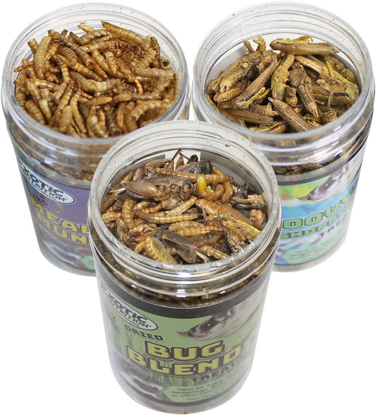 Exotic Nutrition Dried Insect 3 Pack - Crickets, Grasshoppers, Mealworms - For Sugar Gliders, Hedgehogs, Wild Birds, Chickens, Turtles, Tropical Fish, Reptiles