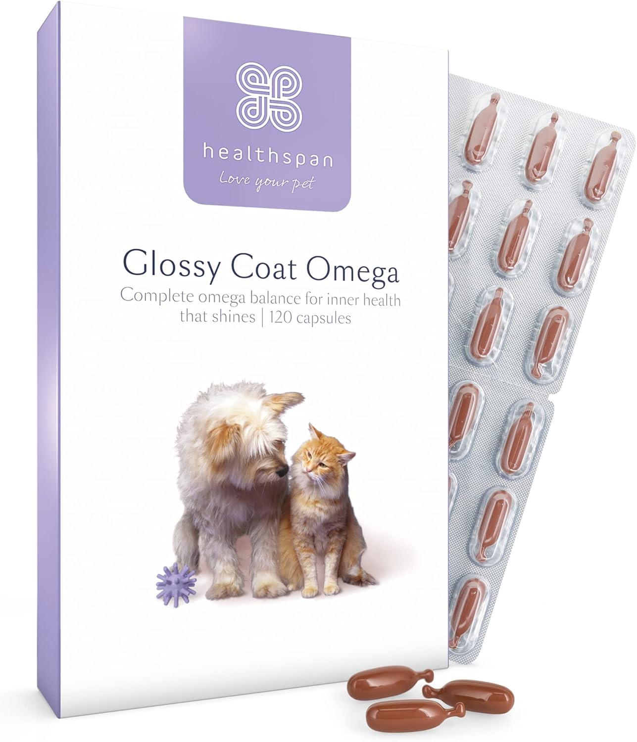 Healthspan Glossy Coat Omega For Cats & Dogs (120 Capsules) | Beef Flavoured | High Strength Fish Oils | For Healthy Skin, Coat, Heart, Joints & Brain