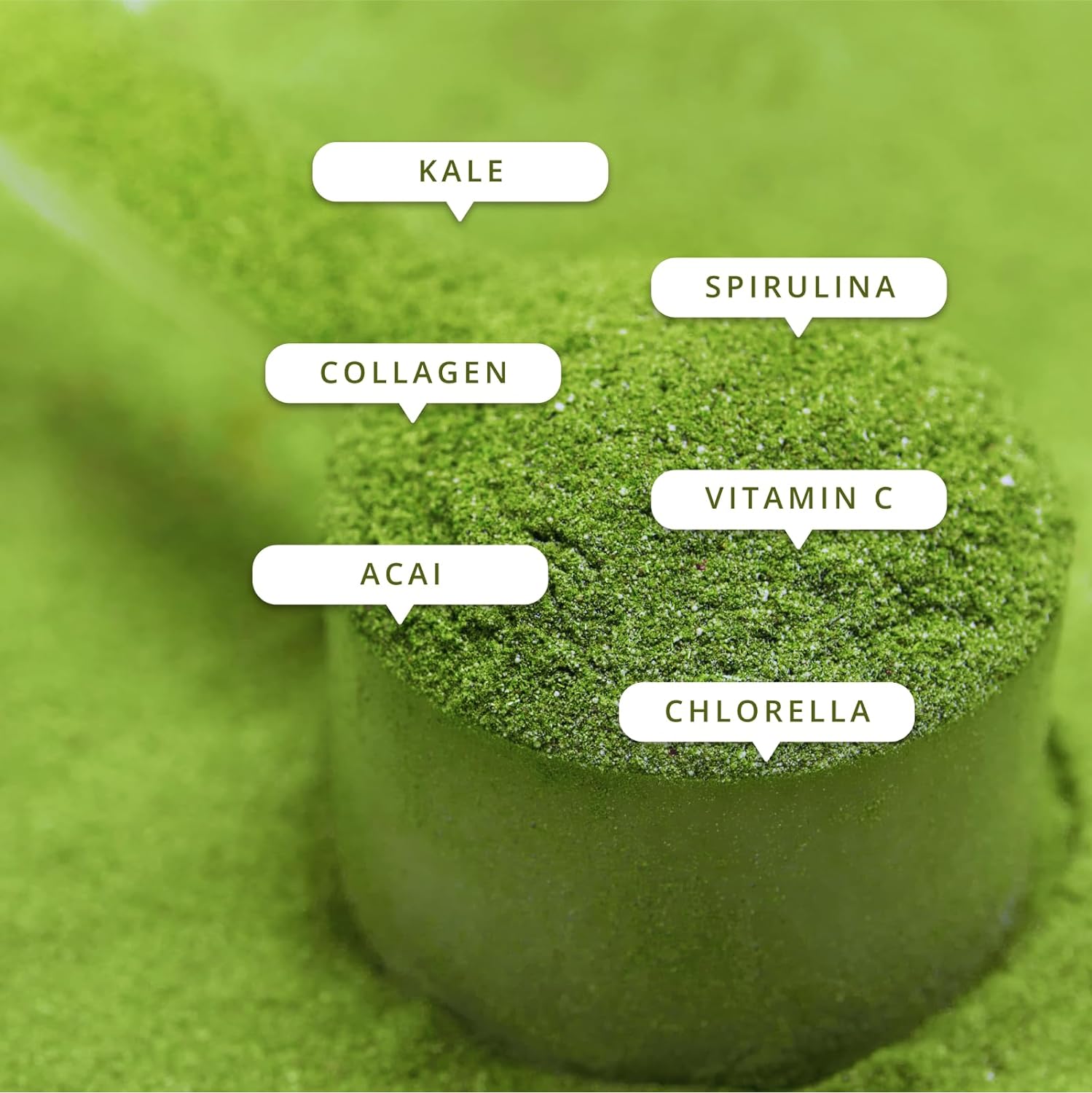 Sculpt Nation by V Shred Greens - Premium Greens Powder & Superfood Blend with Collagen to Support Skin, Digestion, and Energy - 30-Day Supply : Health & Household