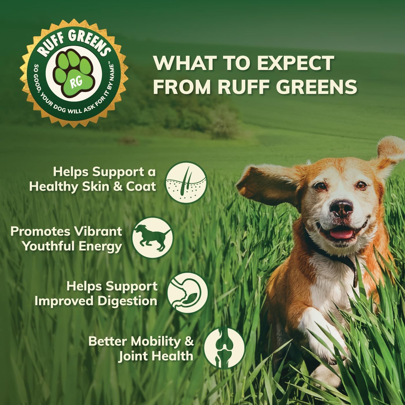 Ruff Greens - Vitamin & Mineral Supplement, Nutritional Support & Probiotics for Dogs, Dog Vitamin Powder, Nutritionally Pure Superfood, 6.9 Ounce : Pet Supplies