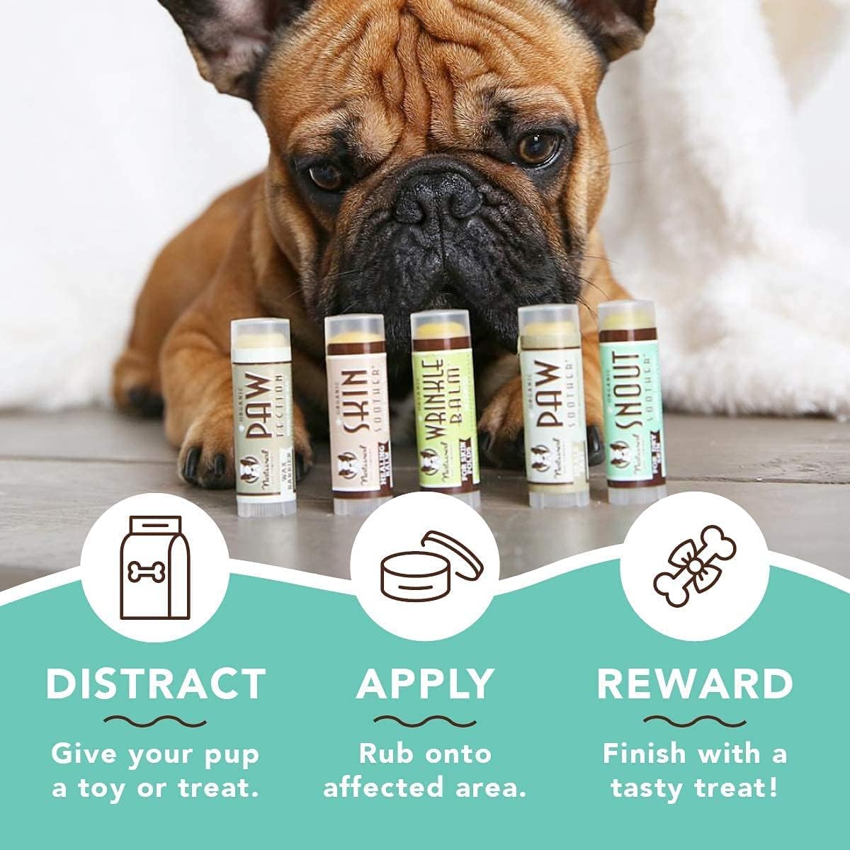 Natural Dog Company Powerhouse Bundle, Includes 5 Healing Balms that Relieve Skin Irritations, Cracked Paws and Dry Noses, Organic, All Natural Ingredients, 0.15oz Trial Sticks : Pet Supplies