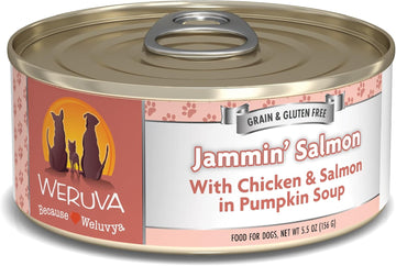 Weruva Classic Dog Food, Jammin' Salmon With Chicken & Salmon In Gravy, 5.5Oz Can (Pack Of 24)