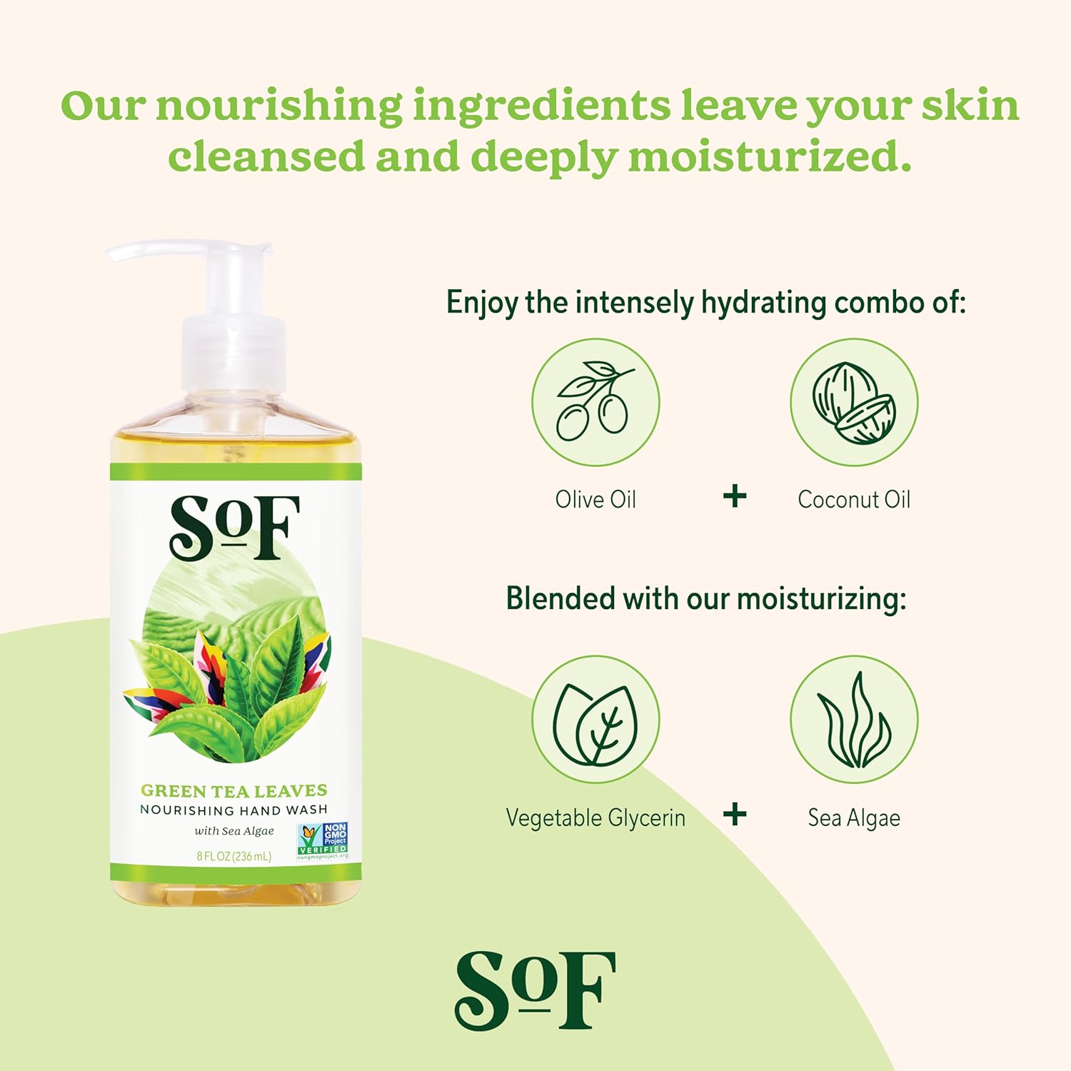 Sof Nourishing Hand Wash - With Moisturizing Sea Algae, Coconut & Olive Oil- Vegan & Non Gmo- Free From Phthalates, Sulfates & Parabens- Green Tea Leaves - 8 Oz Bottle 6 Pack : Beauty & Personal Care