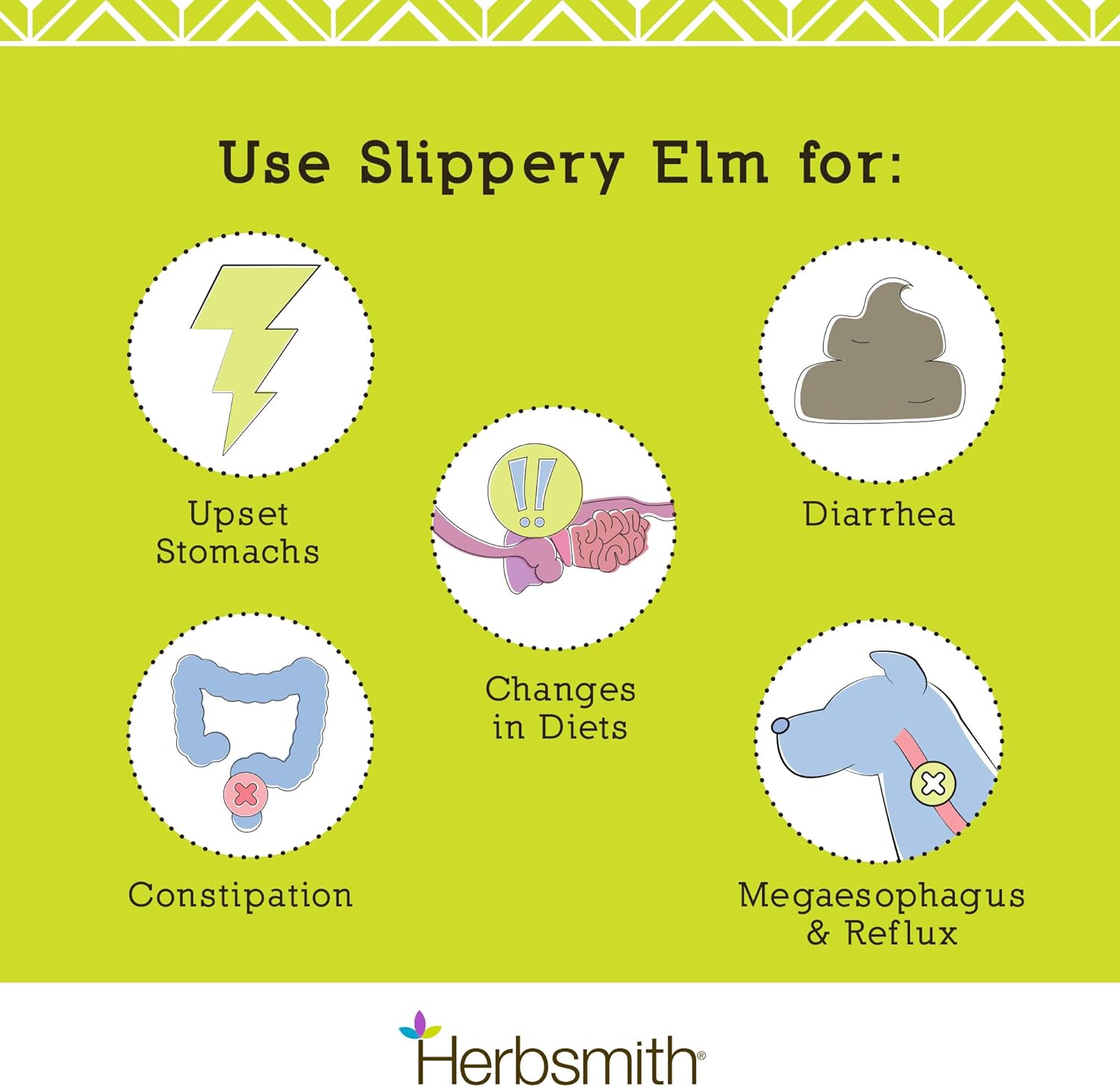 Herbsmith Organic Slippery Elm - Digestive Aid For Dogs And Cats - Constipation And Diarrhea Relief For Dogs And Cats - Megaesophagus Dog Aid - 150G : Pet Supplies