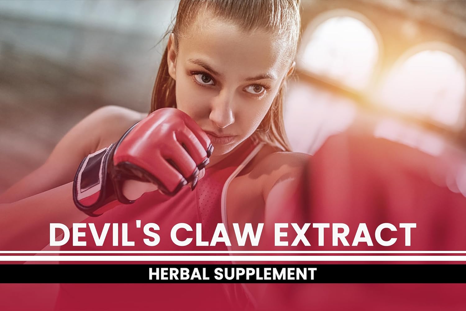 Pure Original Ingredients Devil's Claw (365 Capsules) No Magnesium Or Rice Fillers, Always Pure, Lab Verified : Health & Household