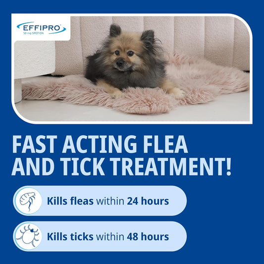 Effipro Flea & Tick Spot-On For Small Dogs 2-10Kg | Fast-Acting | 4 Pipettes| Vet-Strength Formula | Easy To Apply | Kills Fleas & Ticks