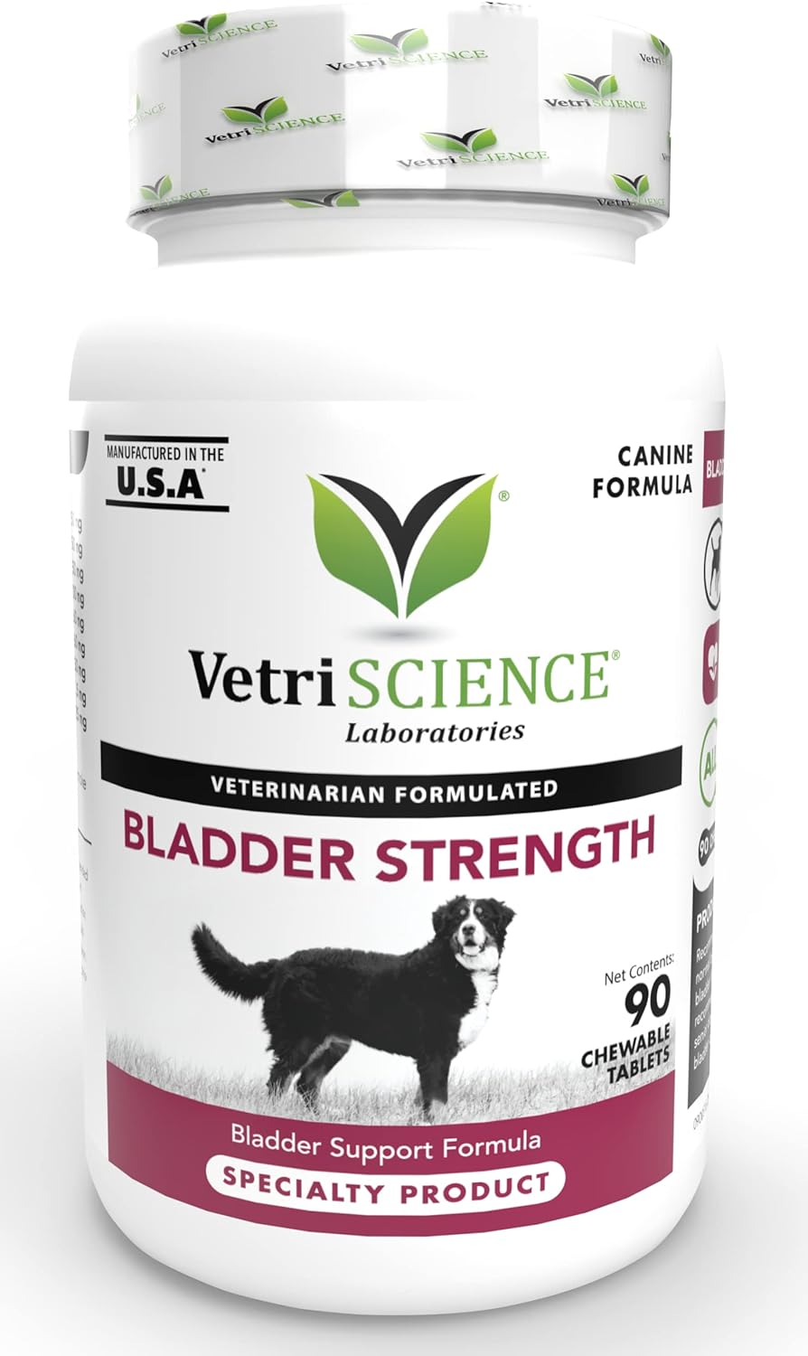 VetriScience Bladder Strength Supplement for Dogs – Vet Recommended Bladder Supplement for Spayed and Senior Dogs, UT Health, Bladder Control, Prevent Bladder Crystals and Stones
