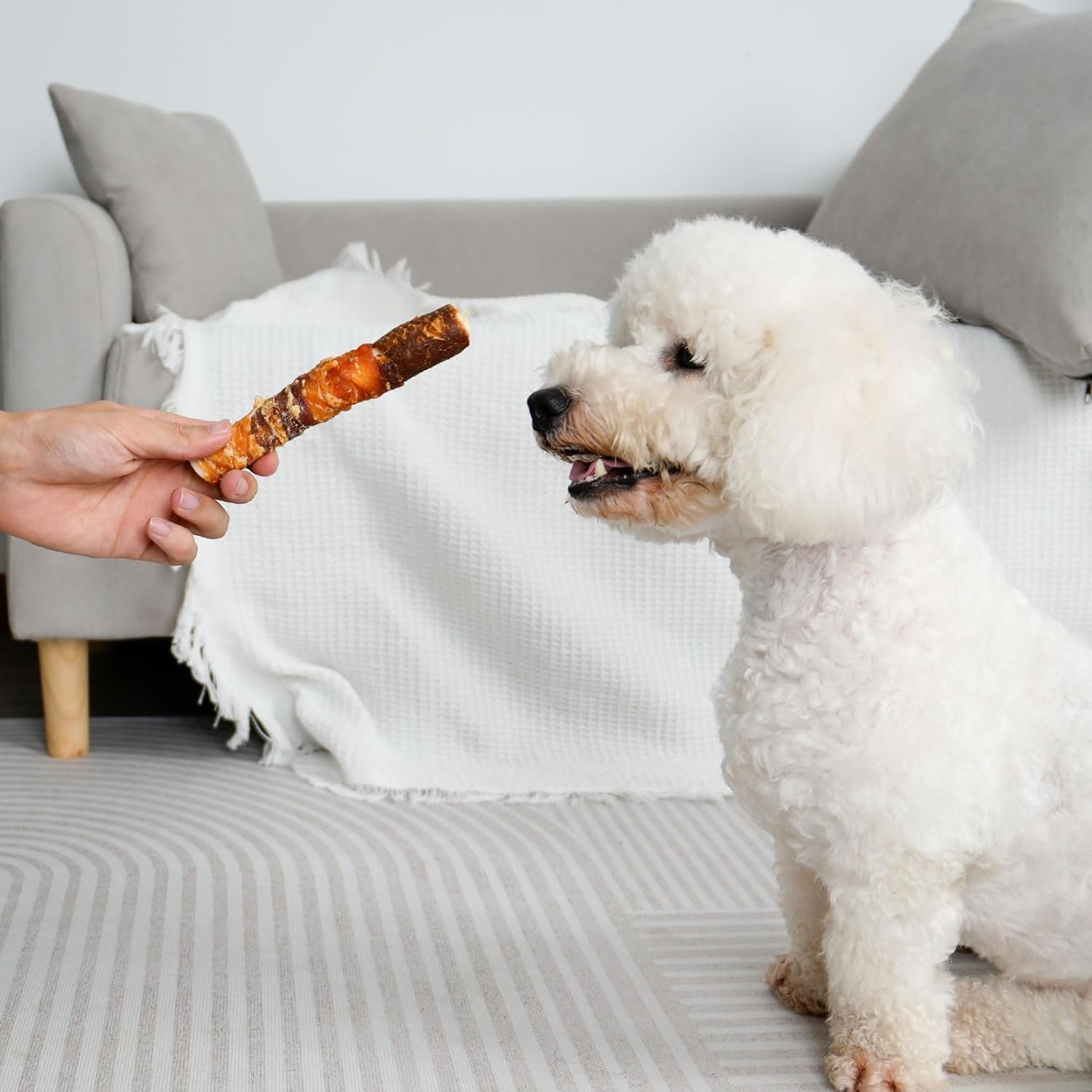 MON2SUN Dog Treats, Triple Flavor 6 Inch Chicken Liver Chicken Duck and Chicken Wrapped Rawhide Sticks, Teeth Cleaning Dog Snacks for Medium Dogs, 17.6 oz (10 Count-Pack of 1) : Pet Supplies