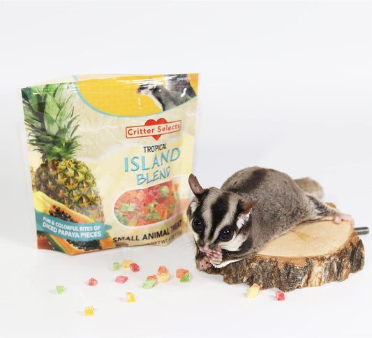 Island Blend Treat (4 Oz.) - Healthy Natural Dried Diced Fruit Treat - Pineapple & Papaya - Sugar Gliders, Rats, Chinchillas, Ferrets, Parrots, Hamsters, Squirrels, Hedgehogs, Guinea Pigs