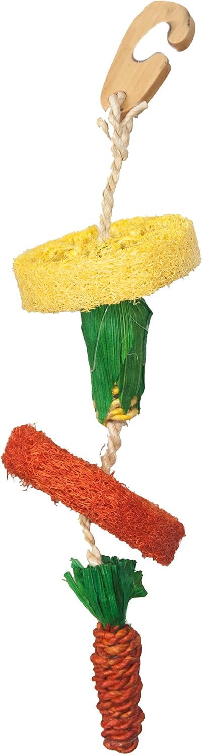 Critters Choice Natural Loofah Hanging Toy :Pet Supplies