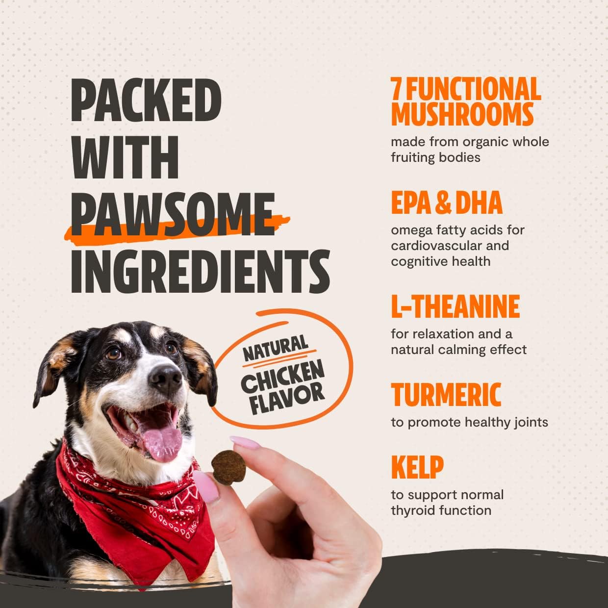 FreshCap Shroomies - Organic Mushroom Complex for Dogs - Turkey Tail, Lions Mane - DHA, EPA, Turmeric and Kelp - 180 Soft Chews - Immunity, Cognitive Support and Joint Health : Pet Supplies