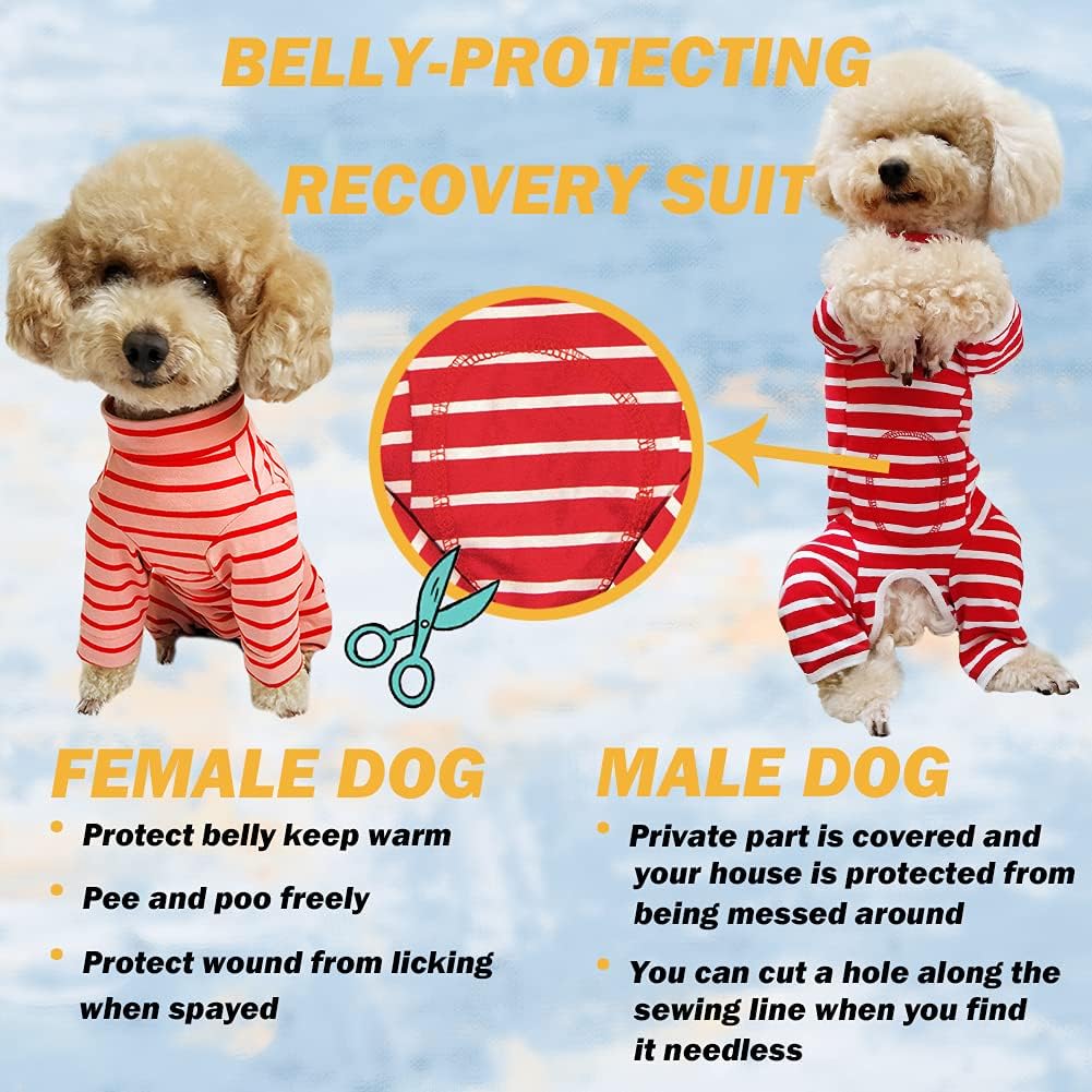 Dog’s Recovery Suit Post Surgery Shirt for Puppy, Full Coverage Dog's Bodysuit Wound Protective Surgical Clothes for Small and Medium Pets (red Pink Stripe-l) : Pet Supplies