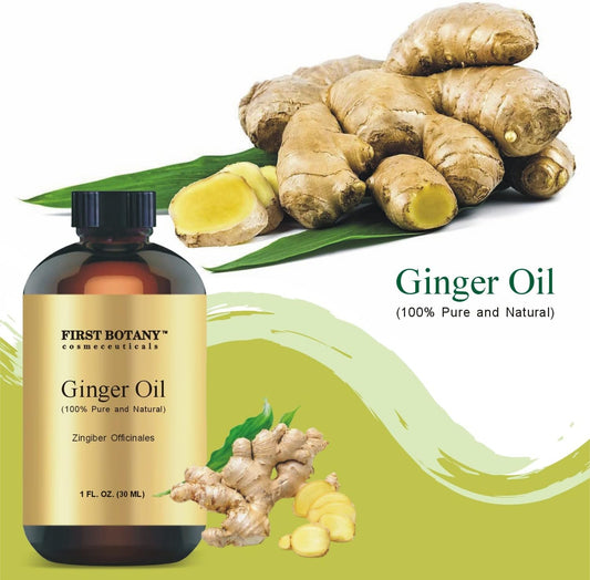 First Botany, 100% Pure Ginger Essential Oil - Premium Ginger Oil For Aromatherapy, Massage, Topical & Household Uses - 1 Fl Oz (Ginger)