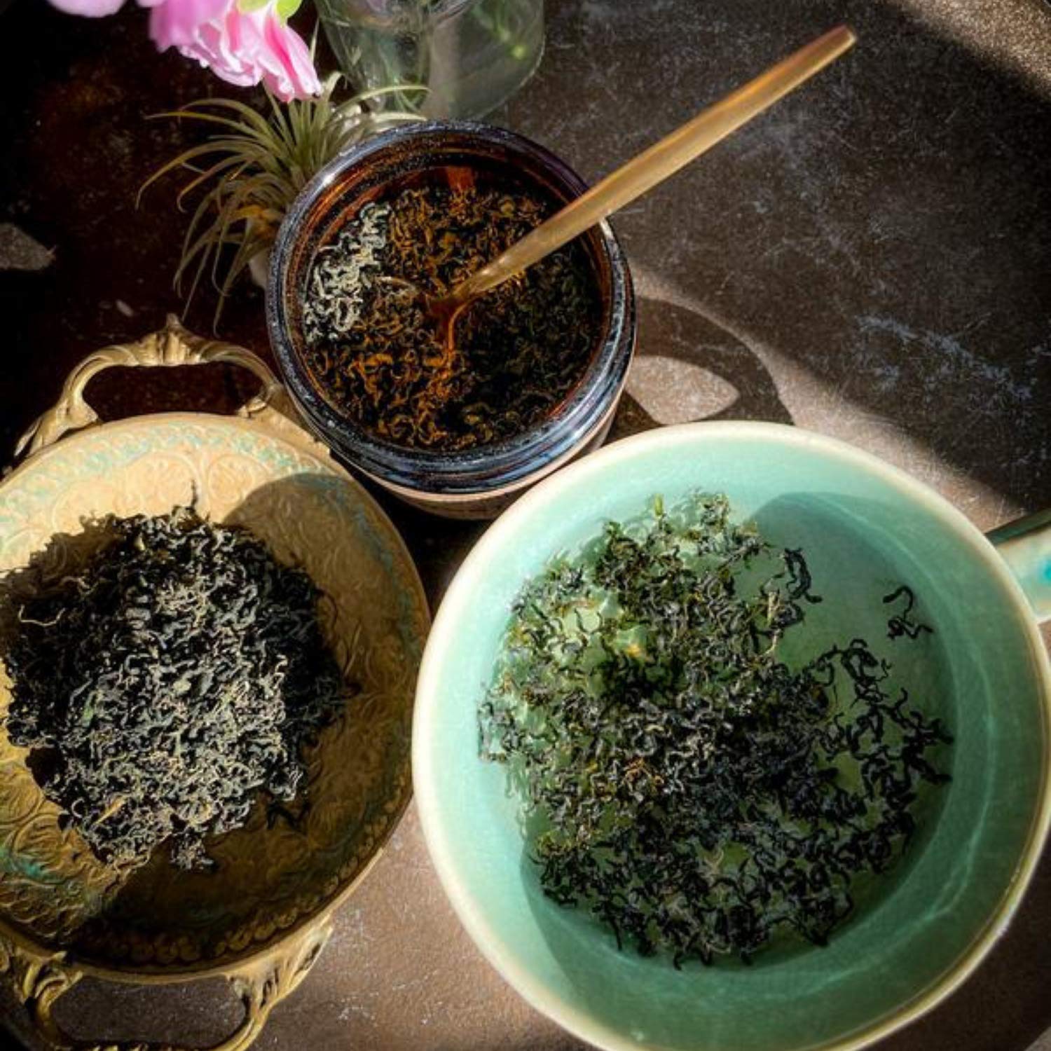 Anima Mundi Gynostemma - Wild Grown Jiaogulan Leaf for Tea - Natural Source of Nutrients, Antioxidants, Vitamins and Minerals - Longevity Tea Leaves (2oz / 57g) : Grocery & Gourmet Food
