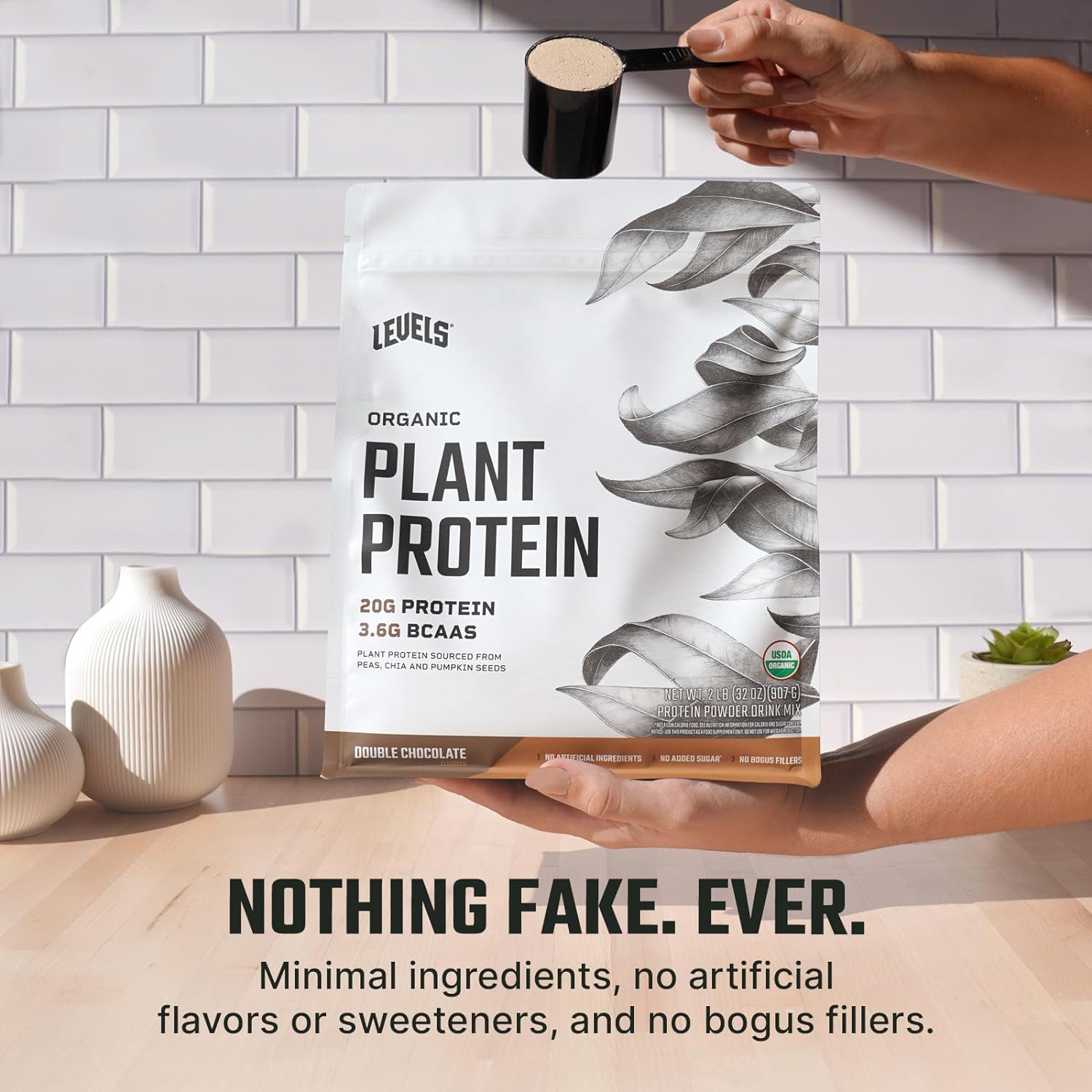 Levels Organic Plant Protein, 20G of Protein, No Artificials, Double Chocolate, 2LB : Everything Else