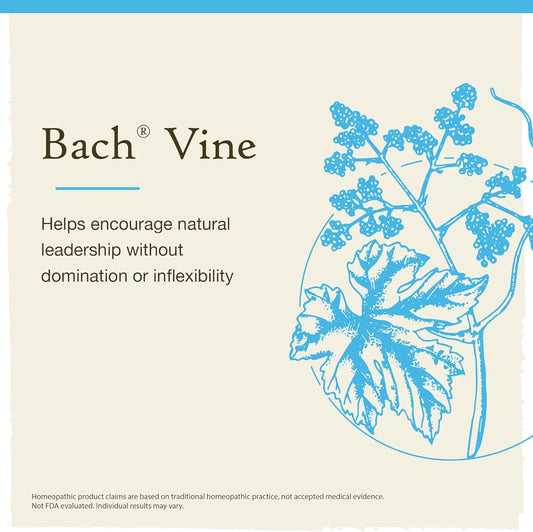 Bach Original Flower Remedies, Vine For Motivation (Non-Alcohol Formula), Natural Homeopathic Flower Essence, Holistic Wellness And Stress Relief, Vegan, 10Ml Dropper