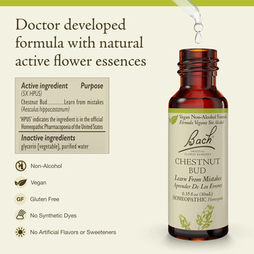 Bach Original Flower Remedies, Aspen (Non-Alcohol Formula) - Feel Secure - Natural Homeopathic Flower Essence For Emotional Balance - Vegan, Gluten Free, Sugar Free - 10Ml Dropper
