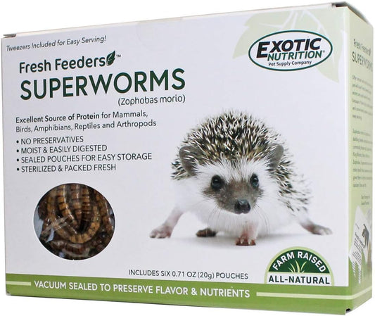 Fresh Feeders (Superworms) - All Natural High Protein Insect Treat - Single Serving Pouches - Chickens, Wild Birds, Hedgehogs, Bluebirds, Reptiles, Sugar Gliders, Opossums, Skunks, Lizards