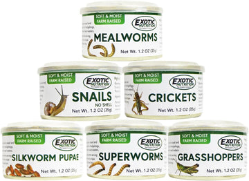 Canned Insect Assortment 6 Pack - Healthy High Protein Treat - For Hedgehogs, Sugar Gliders, Reptiles, Chickens, Lizards, Bearded Dragons, Turtles, Fish, Birds, Opossums, Skunks And Other Insectivores