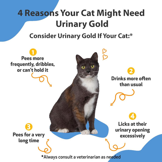 Pet Wellbeing Urinary Gold For Cats - Vet-Formulated - Feline Urinary Tract Health, Supports Normal Urinary Ph - Natural Herbal Supplement 2 Oz (59 Ml)