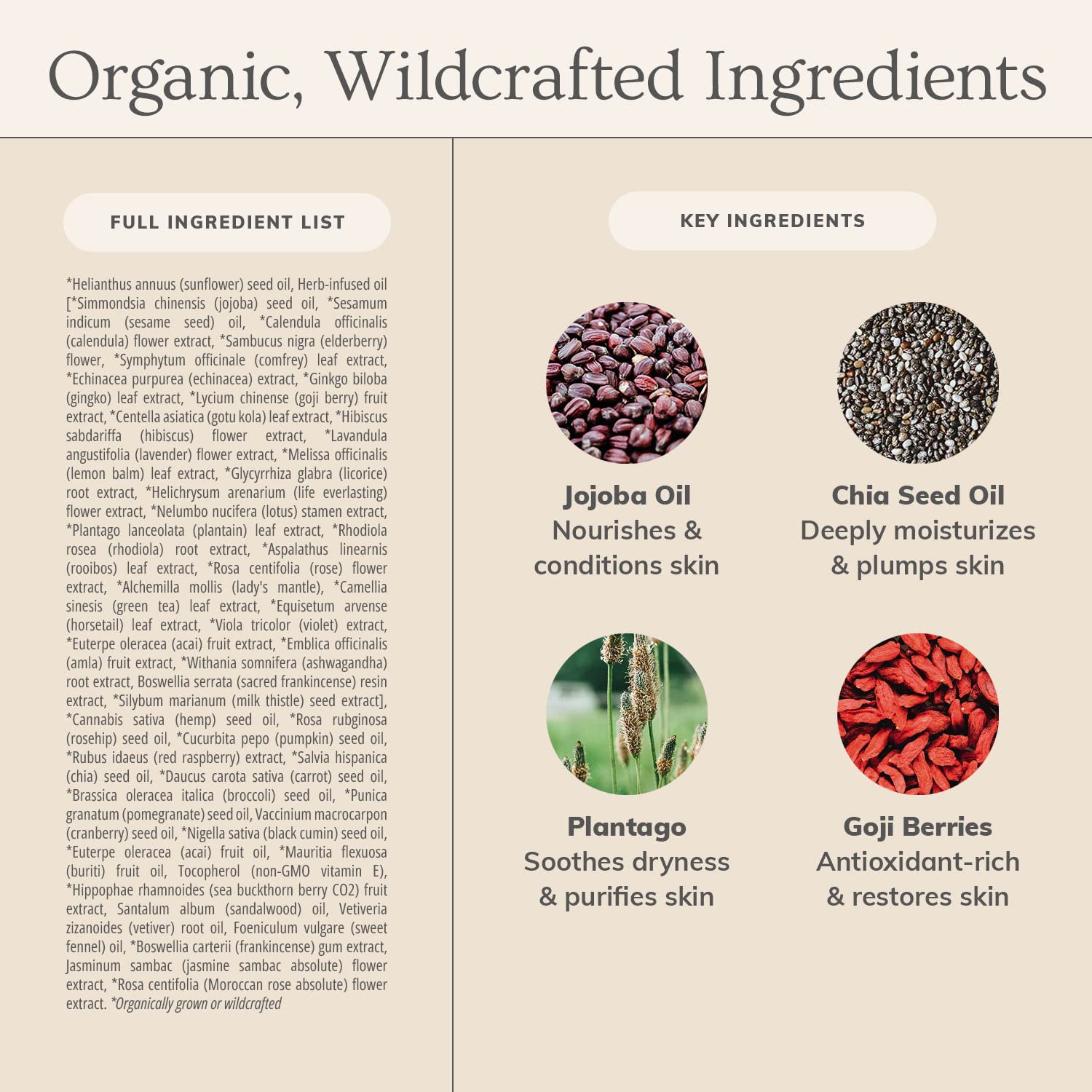 Anti-Aging Facial Oil By Annmarie Gianni Skin Care : Beauty & Personal Care