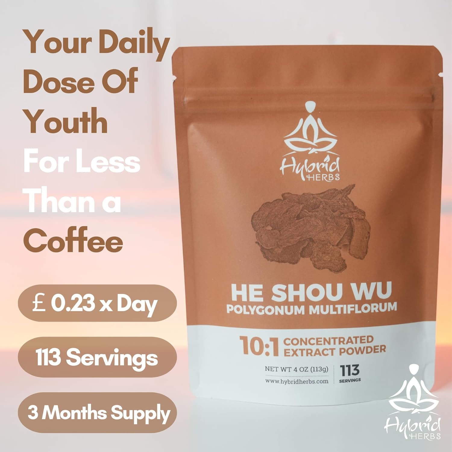 HYBRID HERBS - HE SHOU WU Powder 10X Strength - Natural Supplement for Hair Growth & Colour, Skin, Fertility Support, Rich in Antioxidants | Fo-Ti HIGH Potency 10:1 Extract - 113 Servings (113g) : Amazon.co.uk: Health & Personal Care