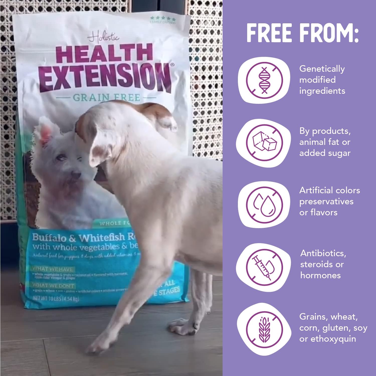 Health Extension Little Bites Dry Dog Food, Natural Food, Suitable for All Puppies, Grain Free Buffalo, Whitefish & Sweet Potato Recipe with Whole Vegetable & Berries (23.5 Pound / 10.6 kg) : Pet Supplies