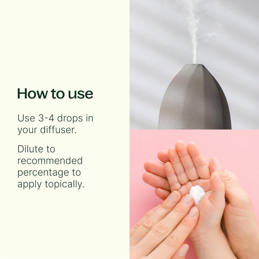 Plant Therapy Kidsafe Feelin' Good Essential Oil Blend Set, Includes: Germ Destroyer, Immune Boom, Sniffle Stopper 100% Pure, Undiluted, Natural Aromatherapy 10 Ml (1/3 Oz)
