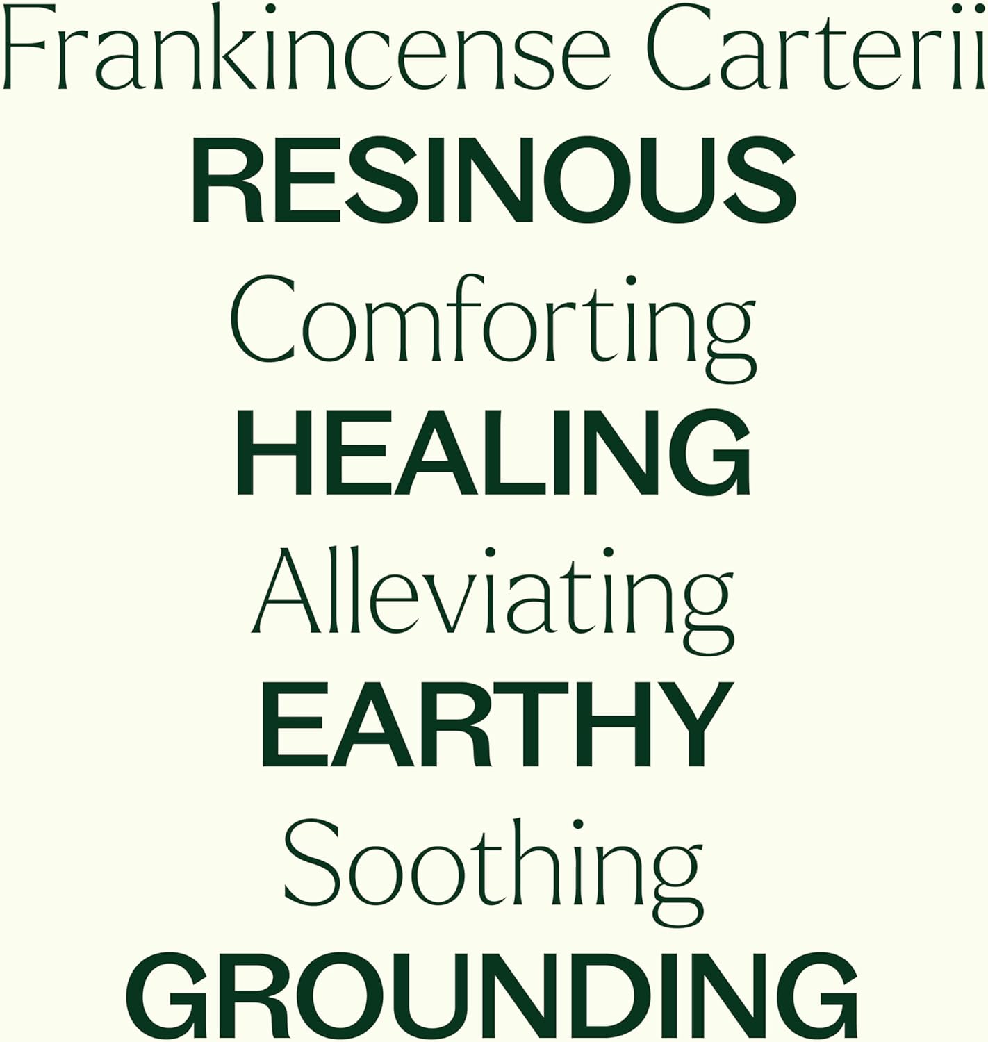 Plant Therapy Frankincense Carterii Essential Oil 100% Pure, Pre-Diluted Roll-On, Natural Aromatherapy, Therapeutic Grade 10 mL (1/3 oz) : Health & Household
