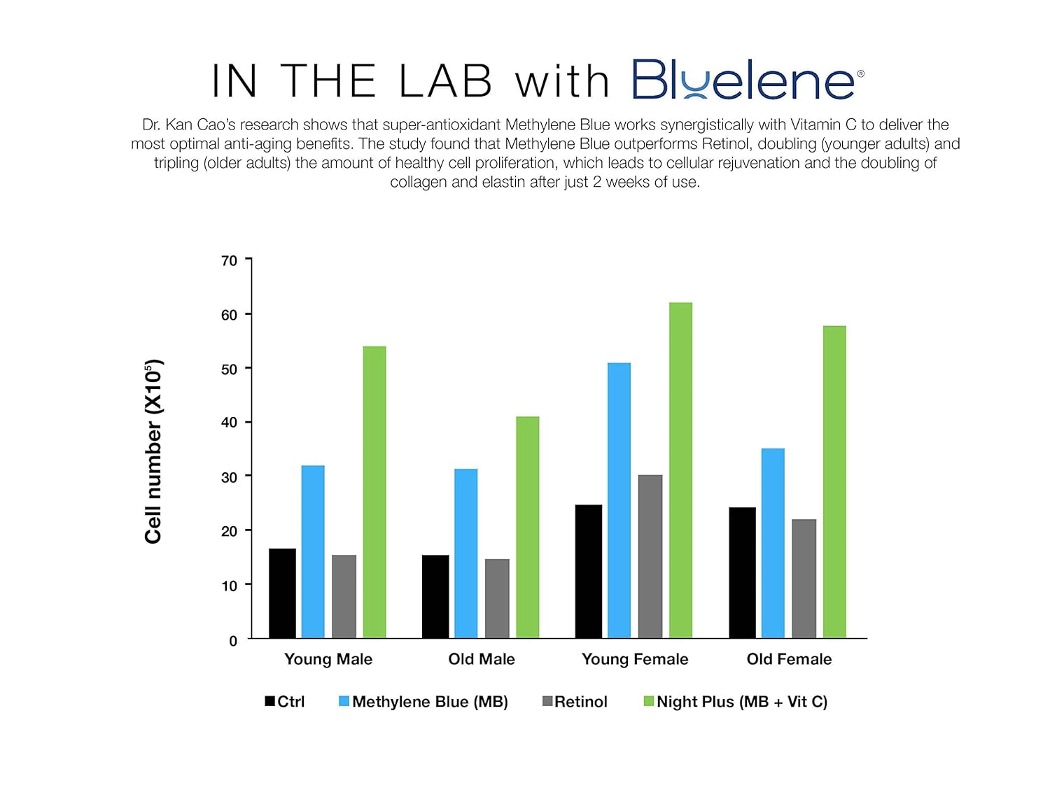 Bluelene Night Cream, Revolutionary Anti Wrinkle Face Cream With Methylene Blue (30 Ml). Suitable For Sensitive Skin : Beauty & Personal Care