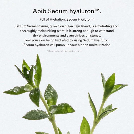 Abib Sedum Hyaluron Pad Hydrating Touch (75 Pads) I Hyaluronic Acid, Hydrating and Improving Skin Texture, Mild Exfoliation
