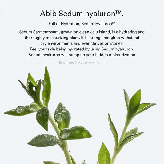 Abib Sedum Hyaluron Pad Hydrating Touch (75 Pads) I Hyaluronic Acid, Hydrating And Improving Skin Texture, Mild Exfoliation