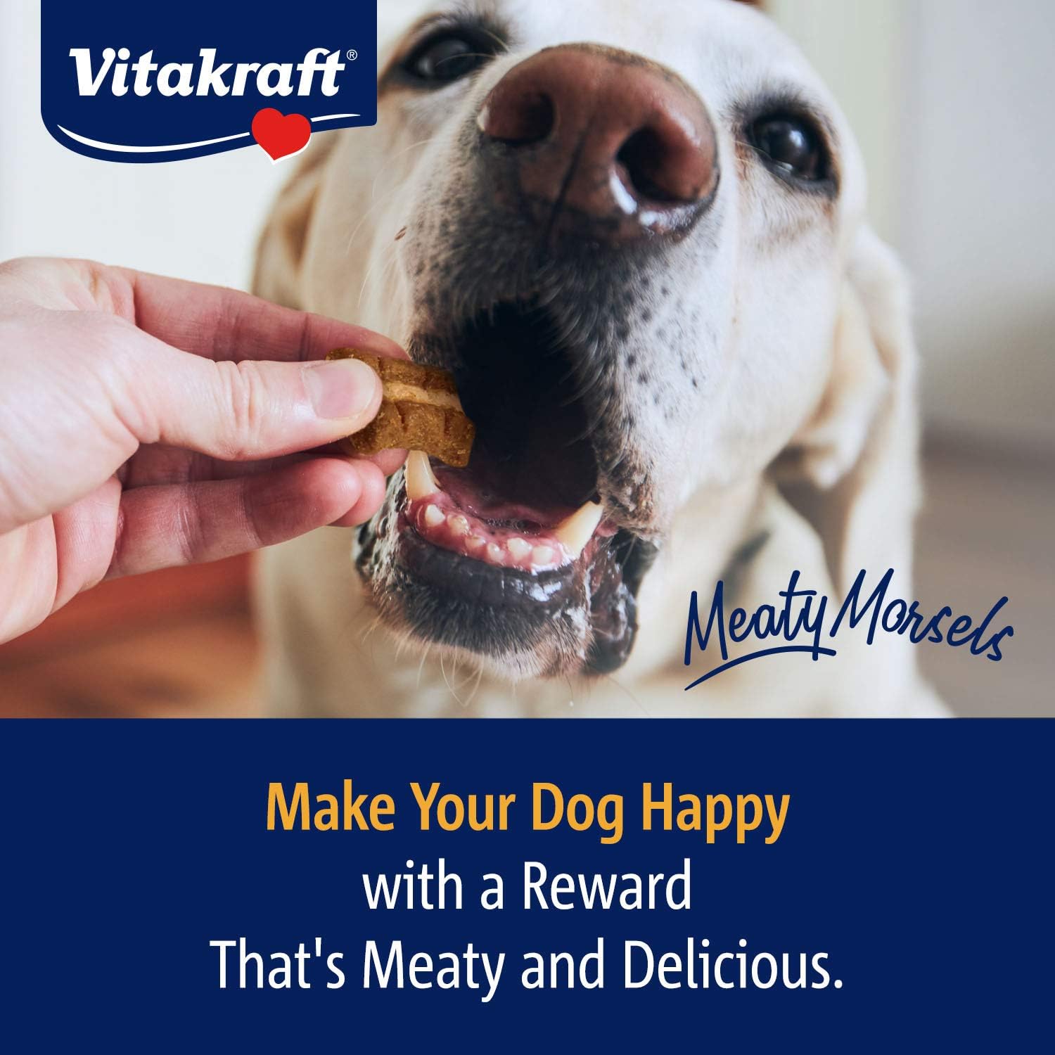 Vitakraft Meaty Morsels Treats for Dogs - Chicken with Beef and Carrots - Super Soft Dog Treats - Two Layers of Gently Oven-Baked Meaty Goodness - Multi Pack of 4 : Pet Supplies