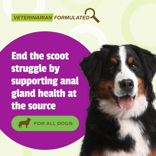 Pet Naturals Scoot Bars For Dogs, Digestive Support, Duck Flavor 30 Count